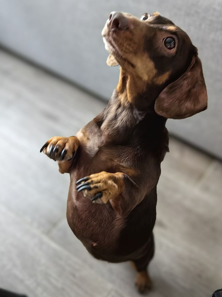 Photograph by OLGA MIKHNEVICH