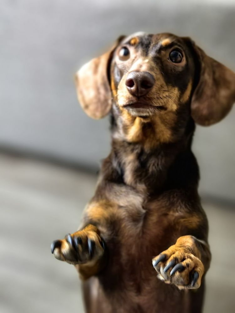 Photograph by OLGA MIKHNEVICH