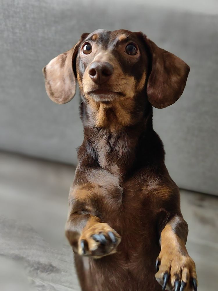 Photograph by OLGA MIKHNEVICH