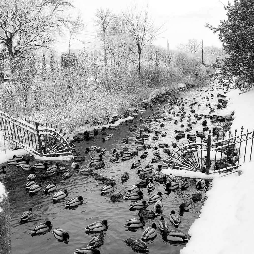 Photograph by Александра Борисовна