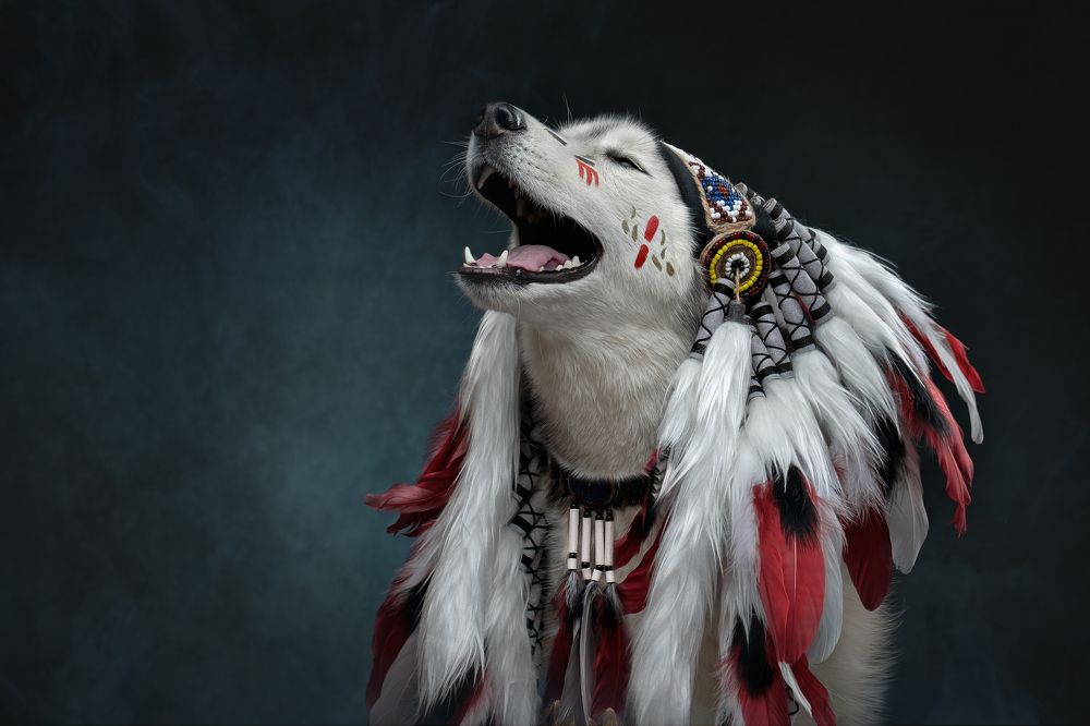 Photograph by Светлана Писарева