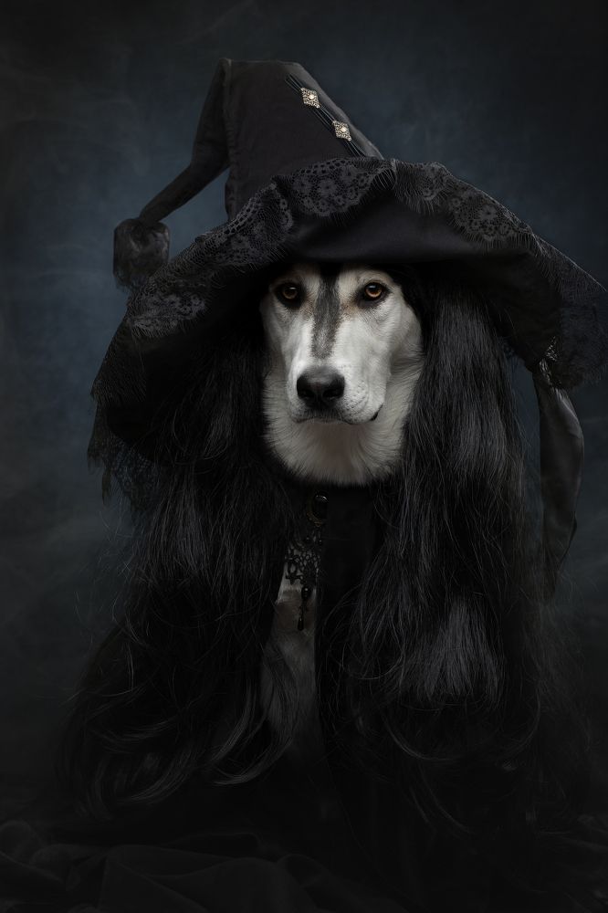 Photograph by Светлана Писарева