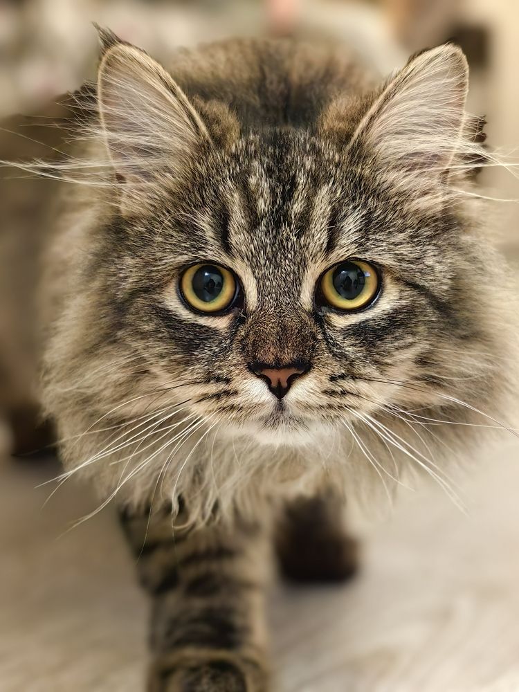 Photograph by OLGA MIKHNEVICH