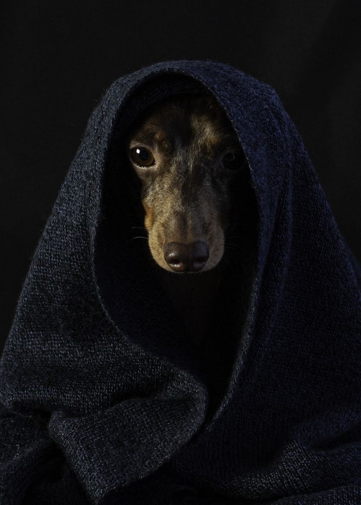 Photograph by Алла Логинова