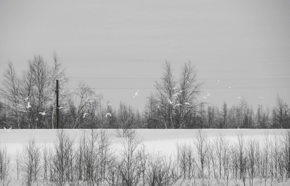 Фотография автора Мария Черница
