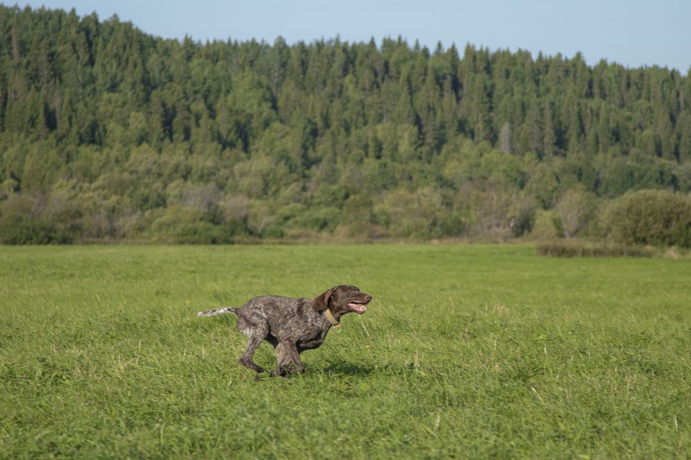 Photograph by Никита Павлов