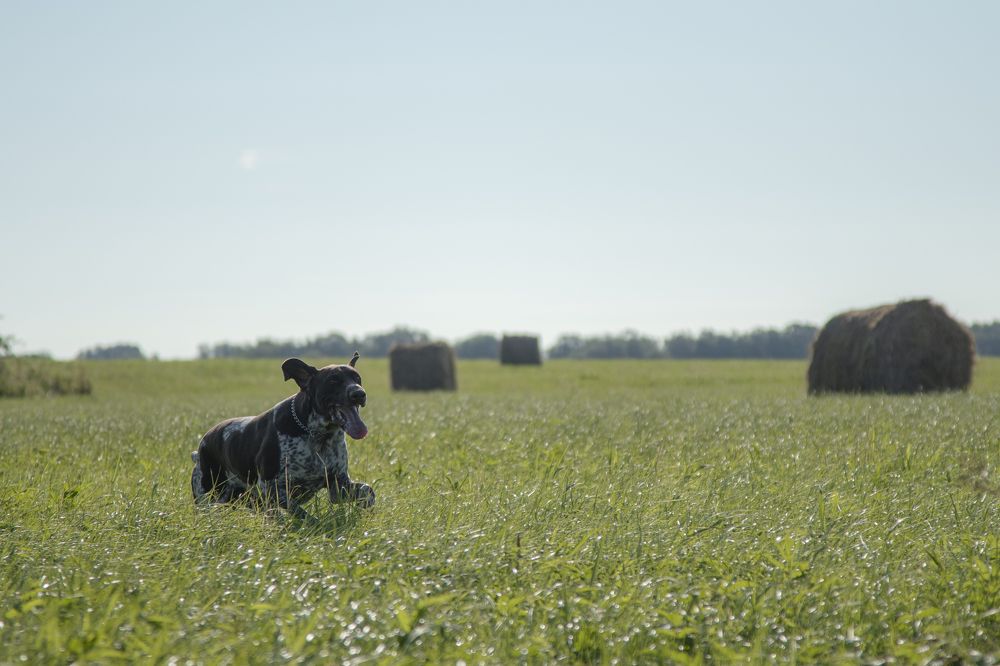 Photograph by Никита Павлов