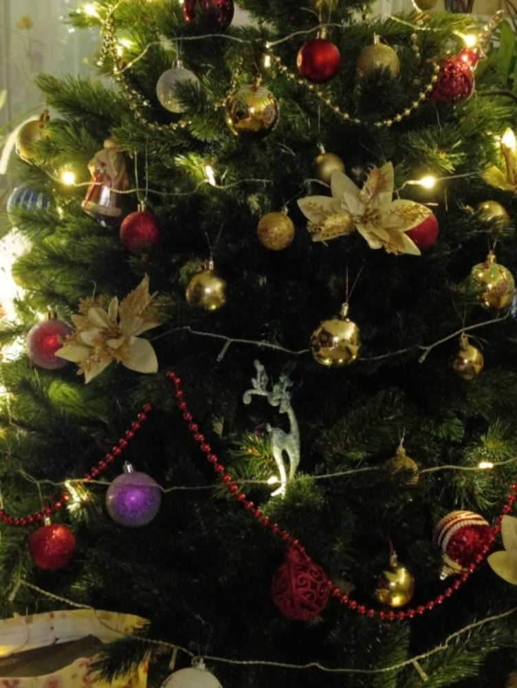 Photograph by Елена Шишкина