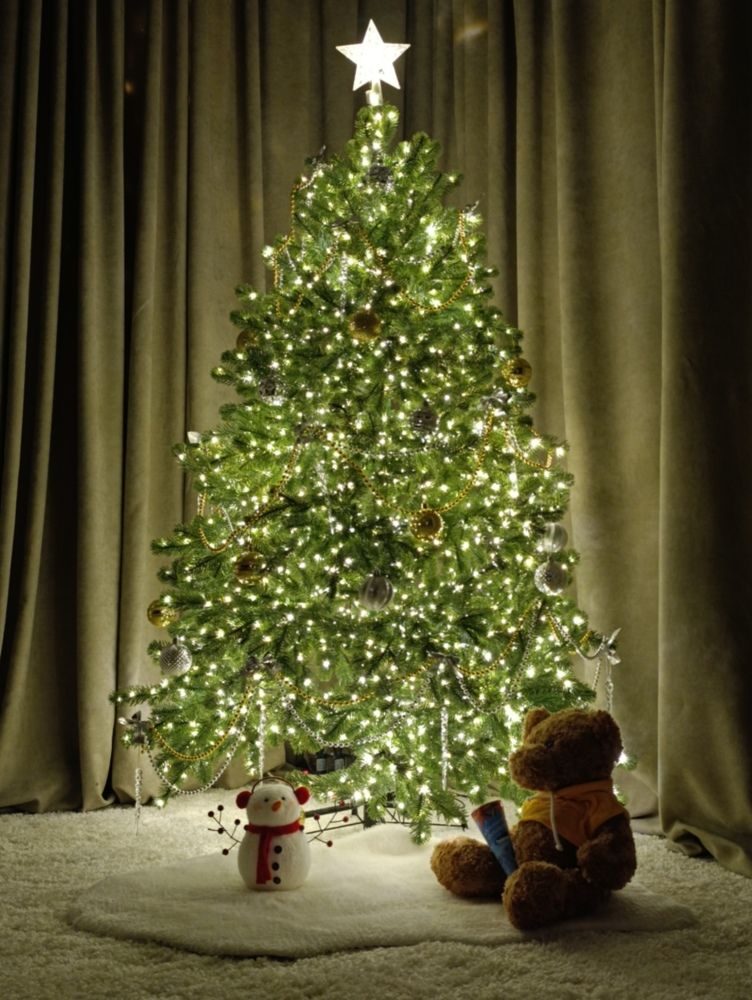 Photograph by Елена Шишкина