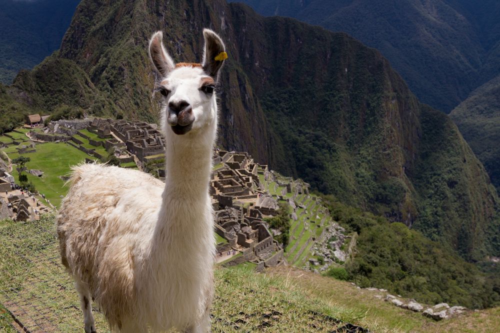 Photograph by Евгений Фонин