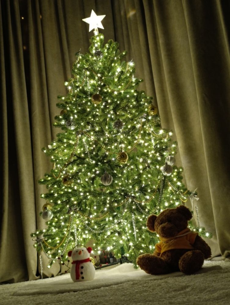 Photograph by Елена Шишкина