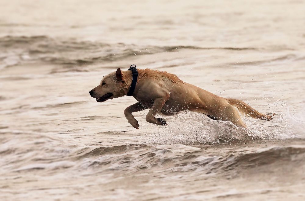 Photograph by Raed Victor Saad