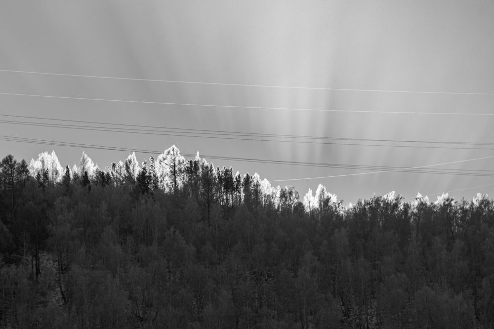 Photograph by Андрей Бородкин