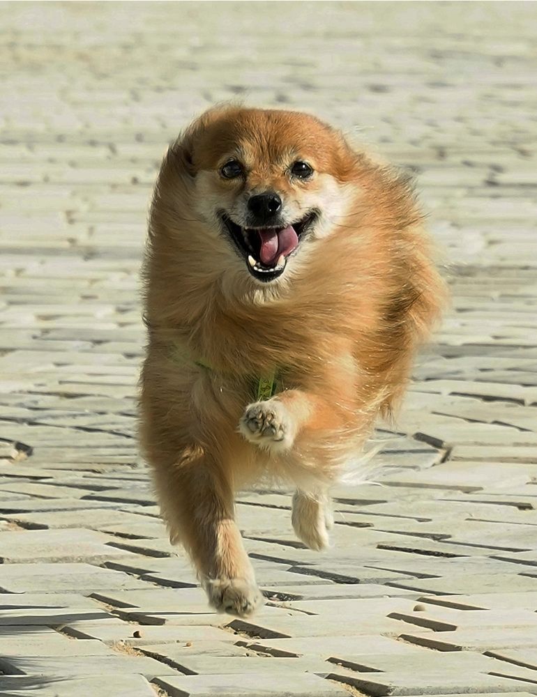 Photograph by Raed Victor Saad