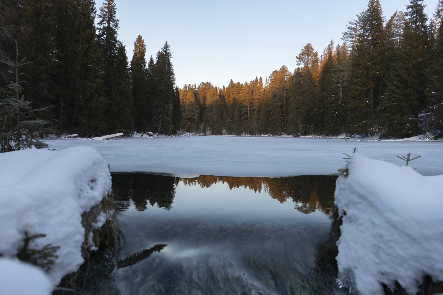 Photo #11575491