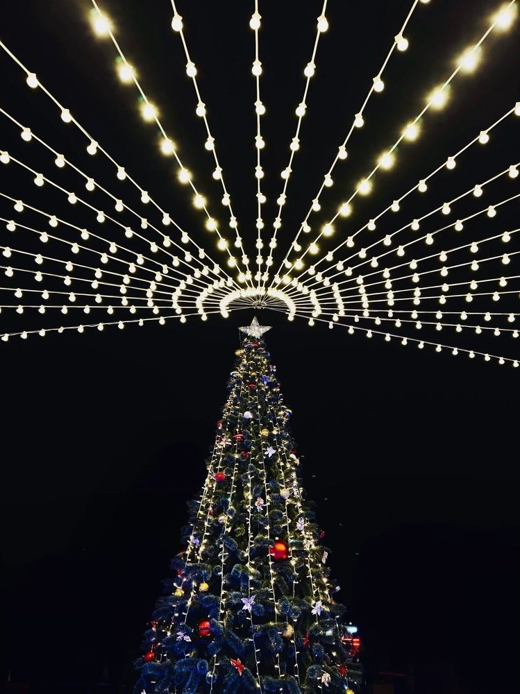 Photograph by Юлия