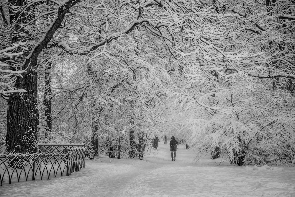 Photograph by Марина Ческис