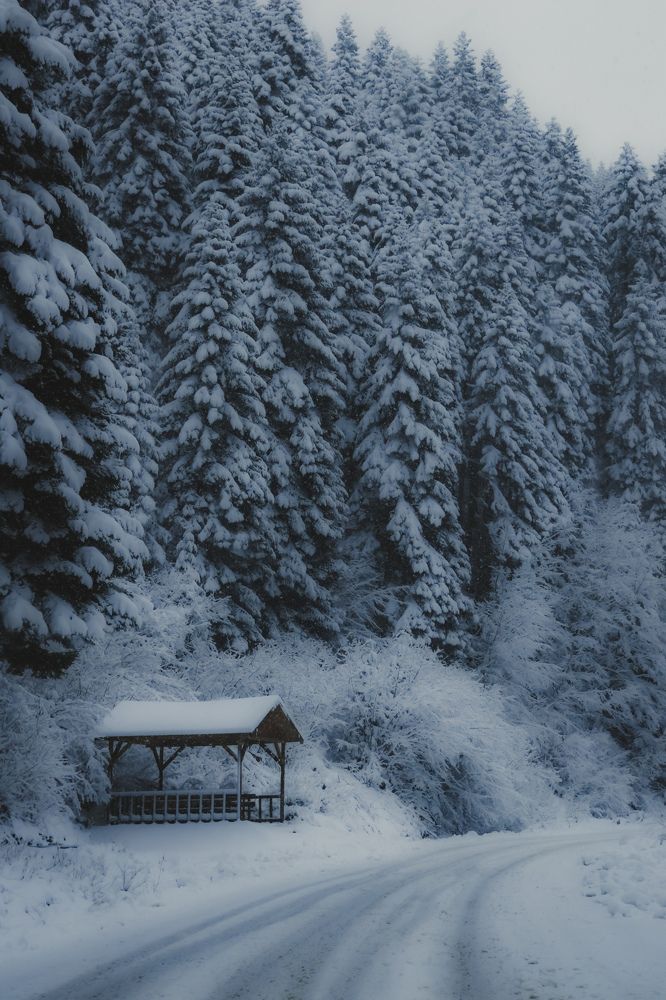 Photograph by Jusuf Suplja