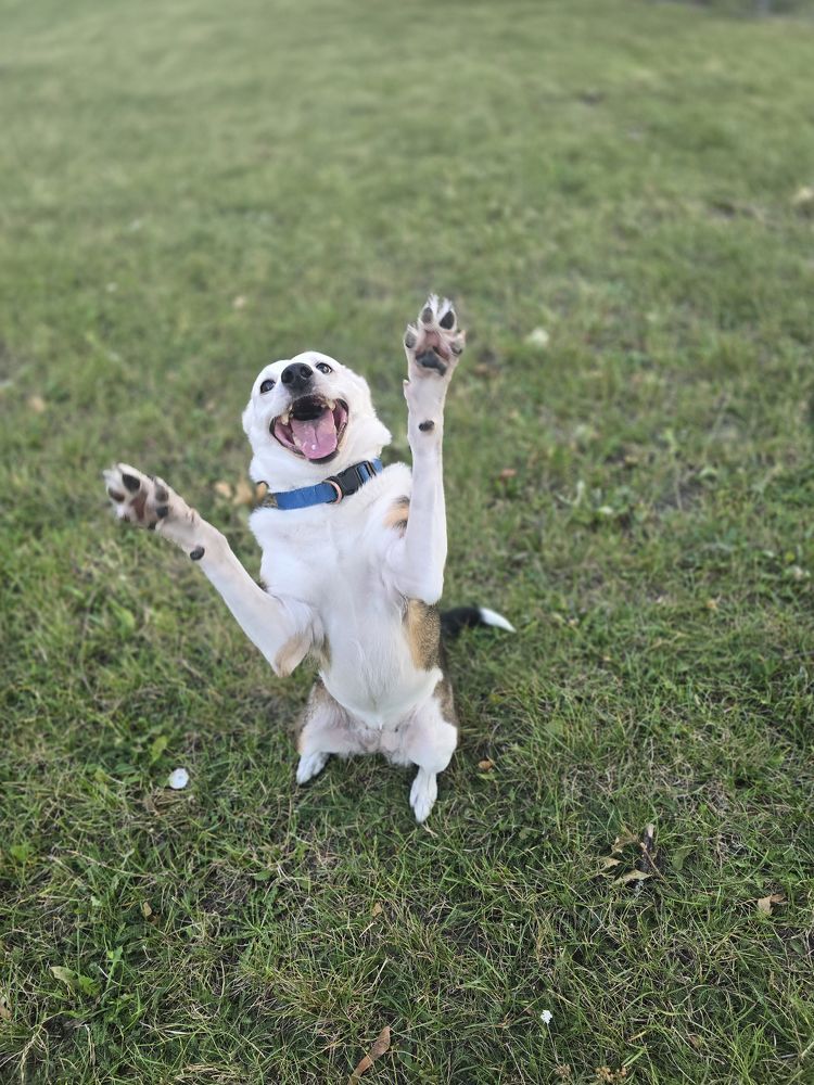 Photograph by Żółtowska Karolina