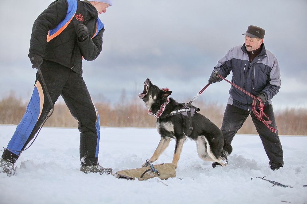 Photograph by Сергей