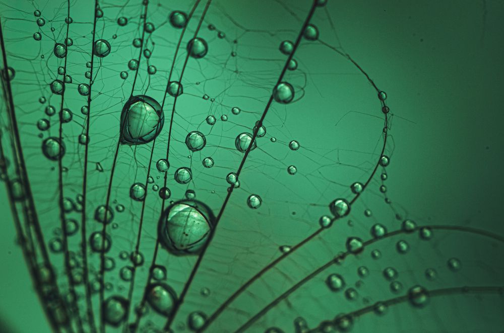 Photograph by Наталья Алексеева