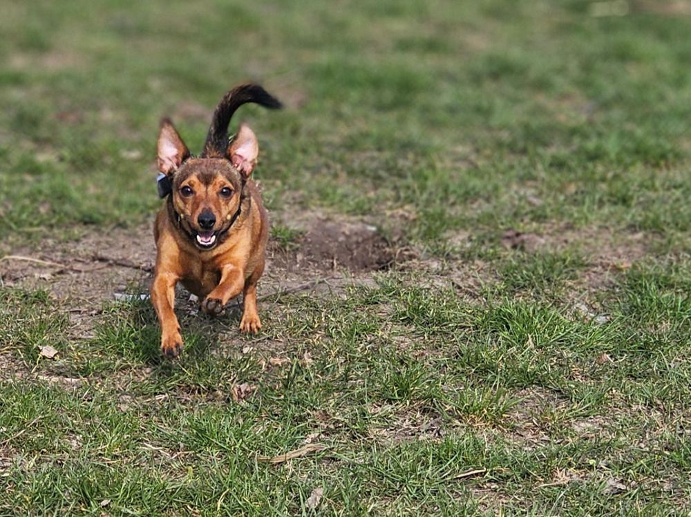 Photograph by Żółtowska Karolina