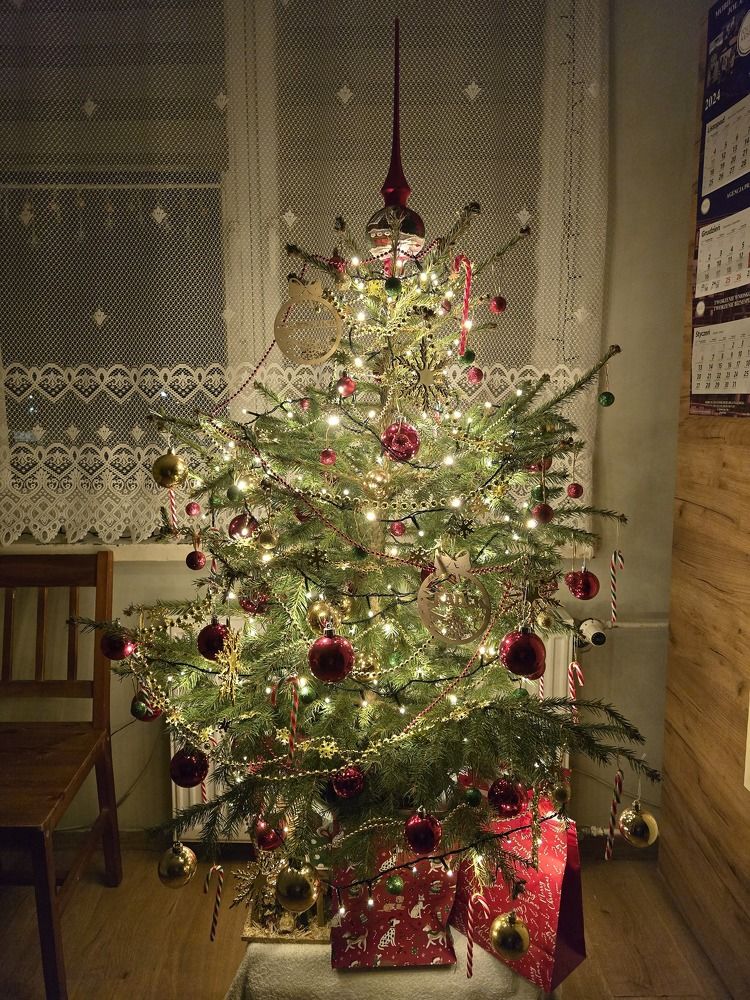 Photograph by Żółtowska Karolina