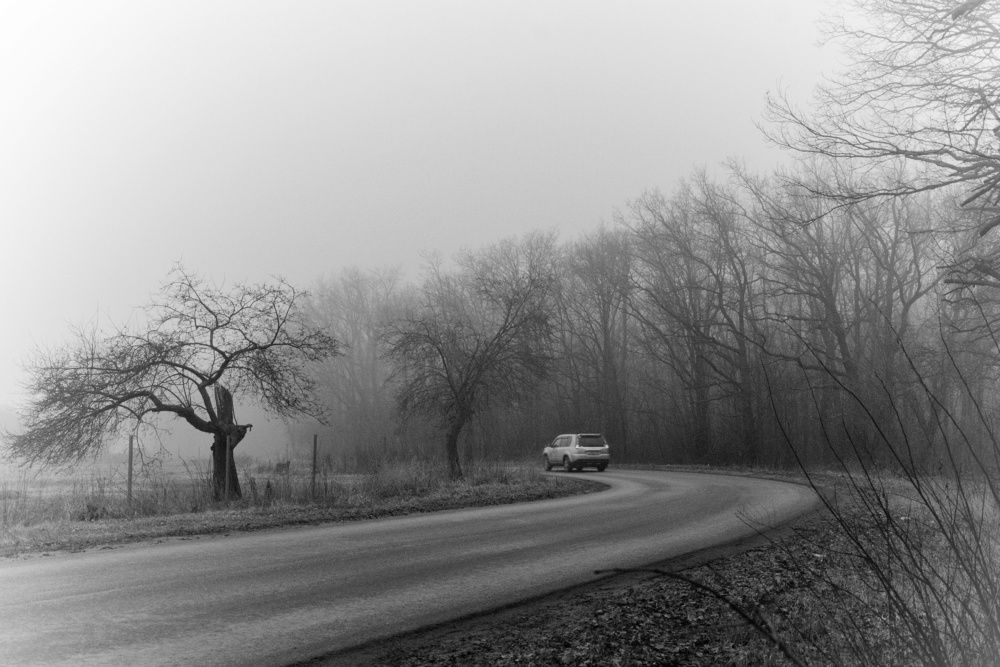 Photograph by Геннадий Глазнев