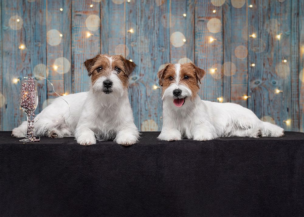 Photograph by Виктория Сафонова