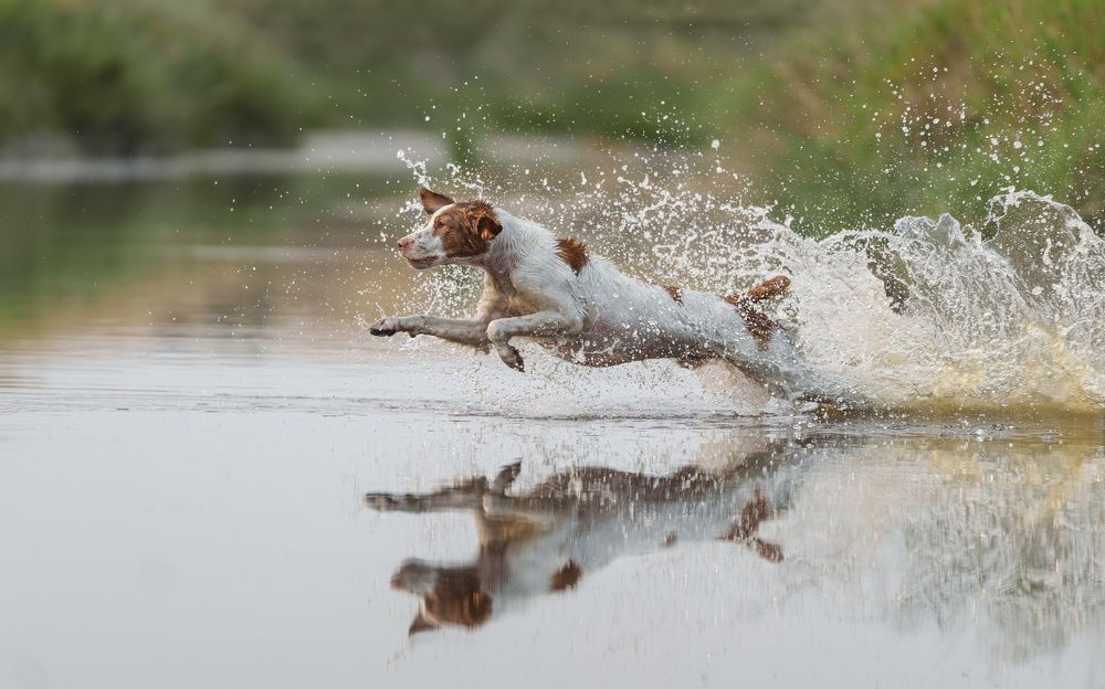 Photograph by Jessica Carlson