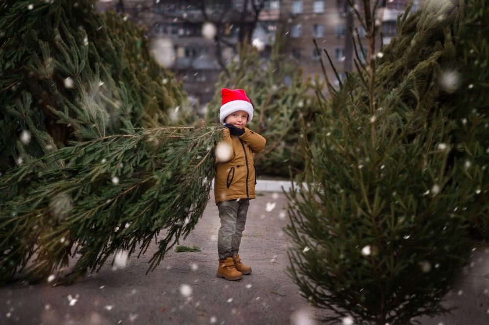 Photograph by Анопченко Ирина