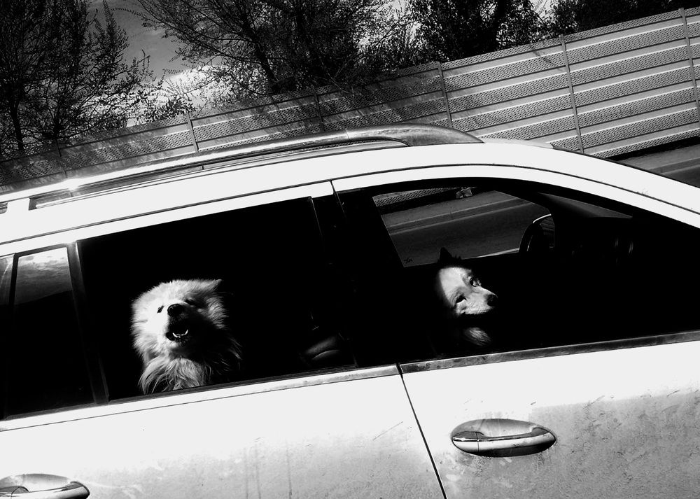 Photograph by Egor Kashirin