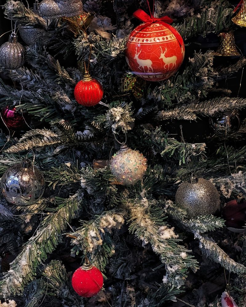 Photograph by shima yousef zade