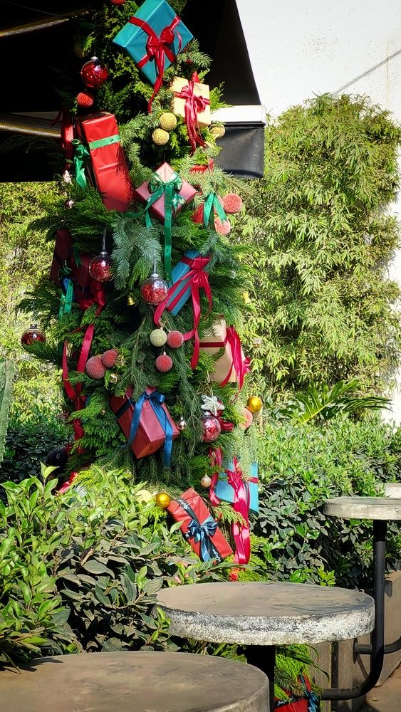 Photograph by shima yousef zade