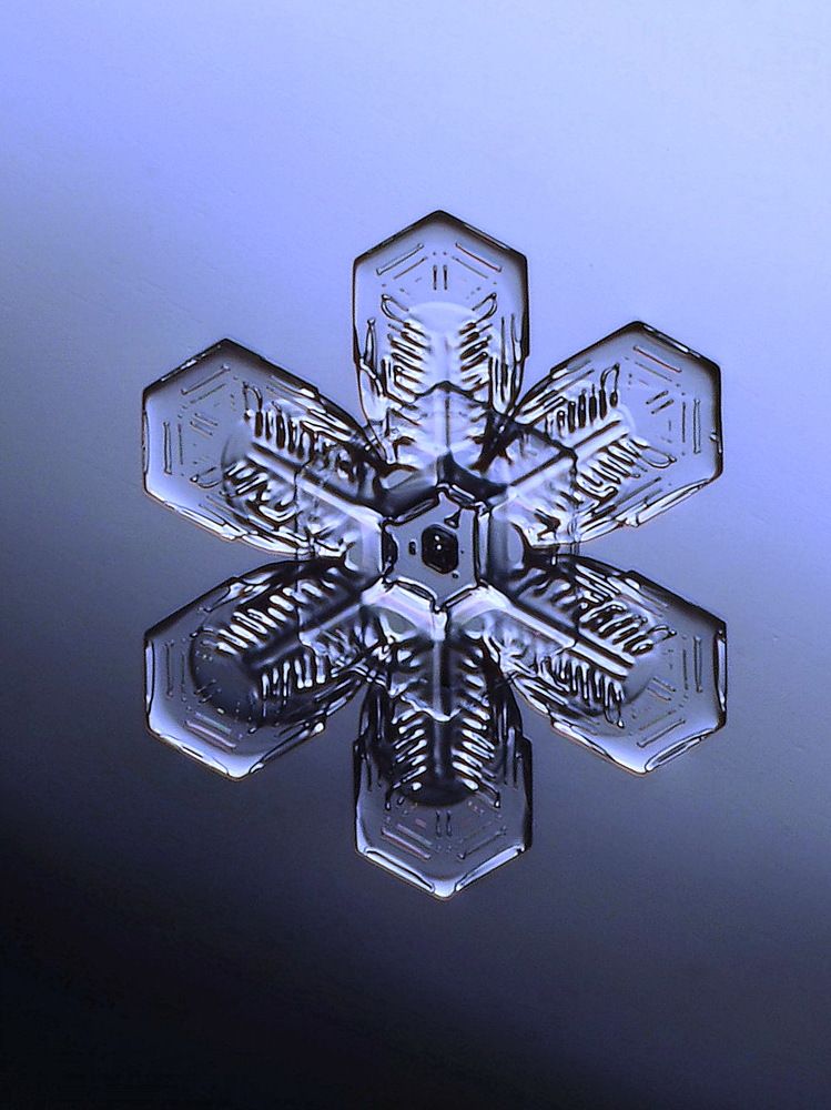 Снежинка декабря