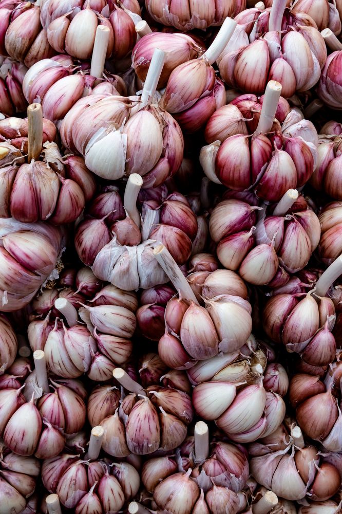 Photograph by Germán Garibay