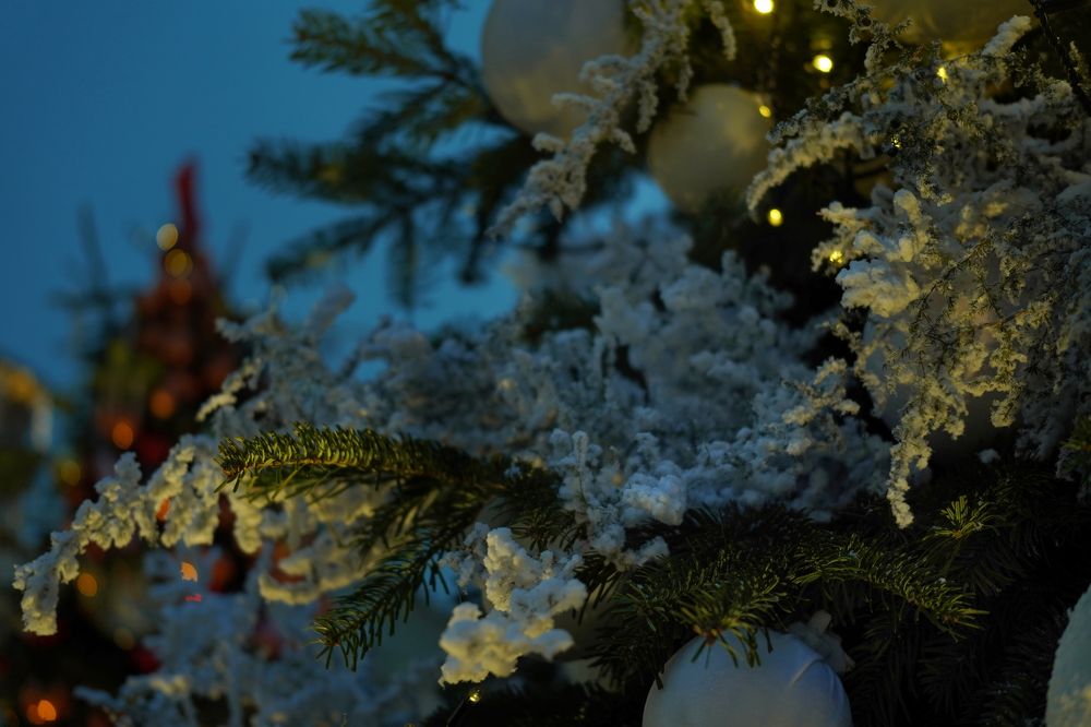 Photograph by Владислав Кравцов