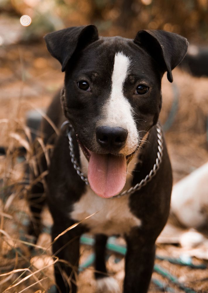 Photograph by Крупченко Роман