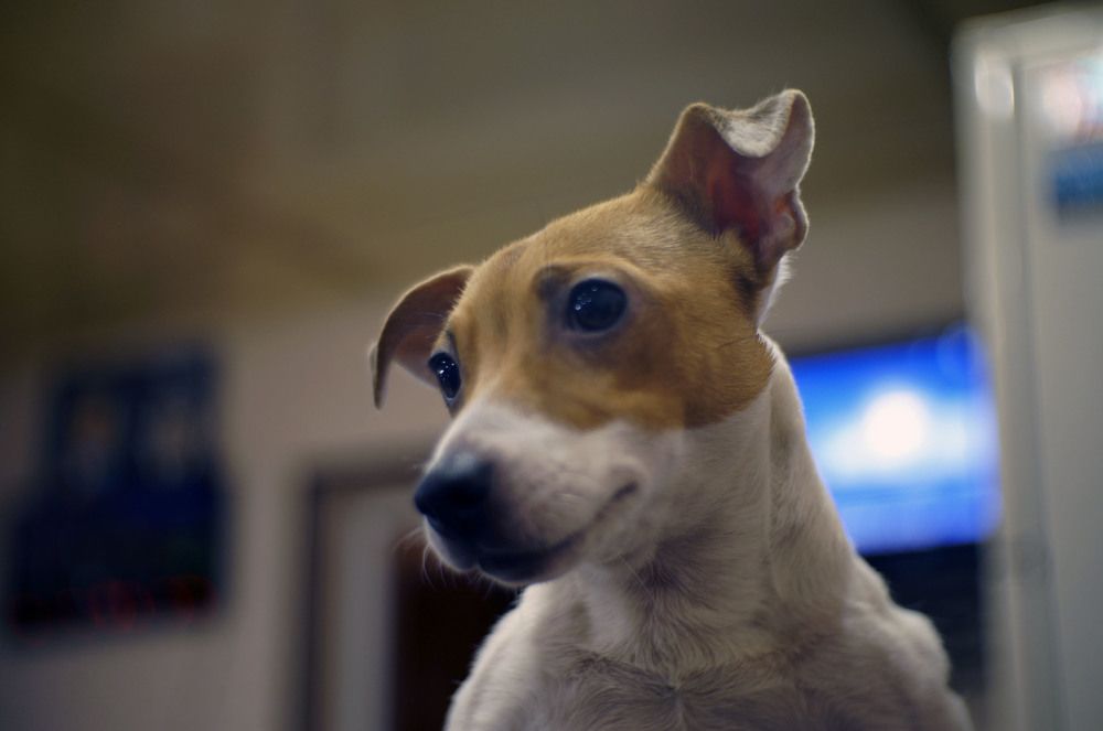 Photograph by Крупченко Роман