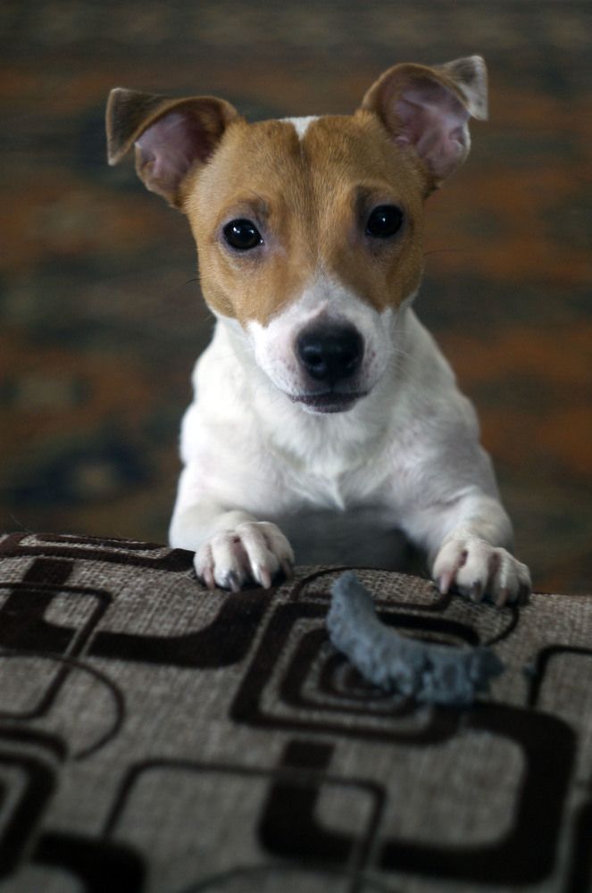 Photograph by Крупченко Роман