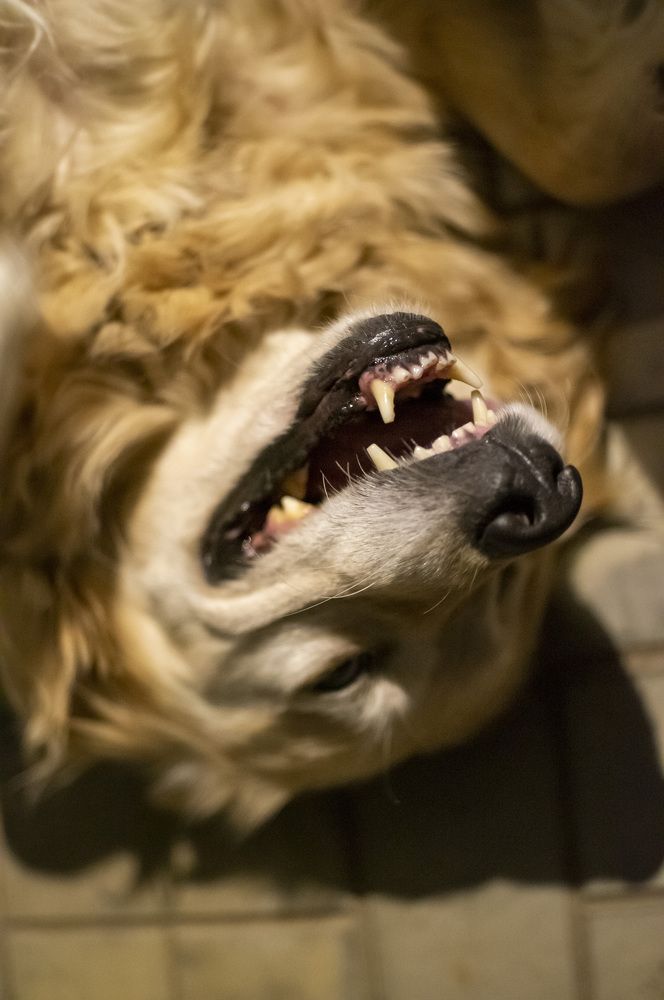 Photograph by Крупченко Роман