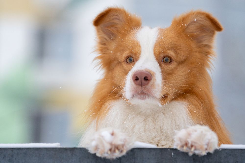 Photograph by Олеся Легостаева