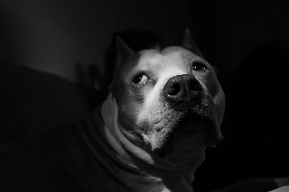 Photograph by Олеся Легостаева