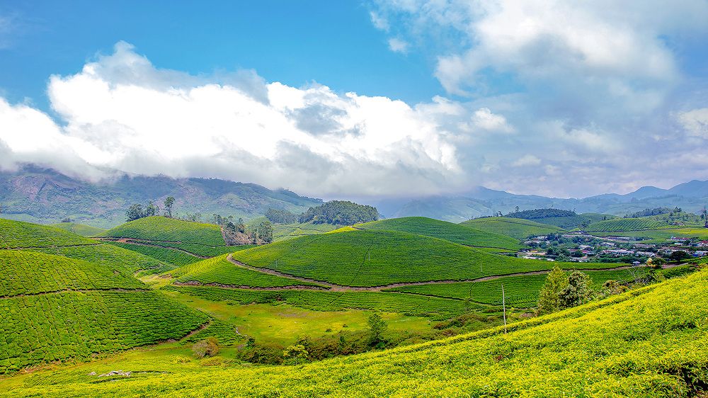 Photograph by Susobhan Biswas