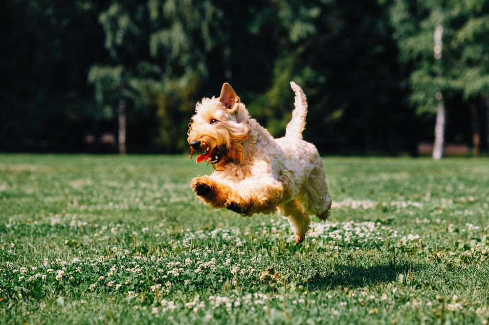 Photograph by Азат Ягудин