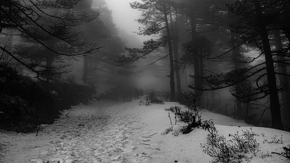 Photograph by Susobhan Biswas