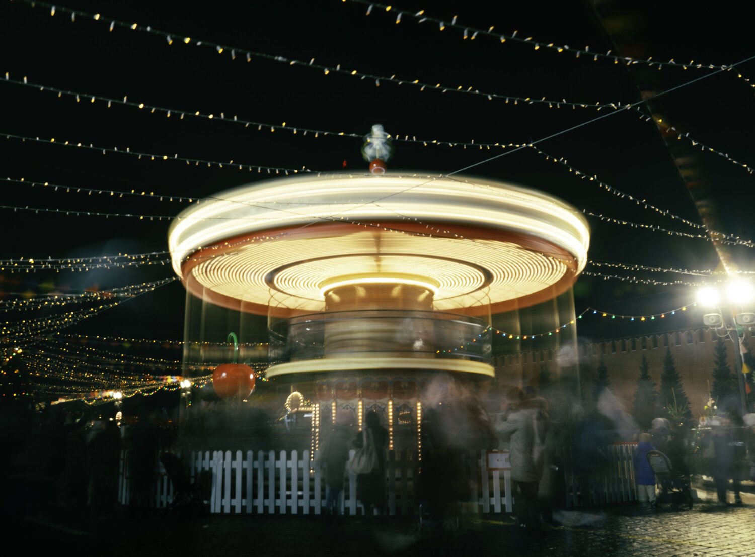 Photo #11576002