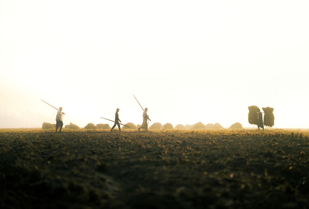 Photograph by Zunaid Hasan