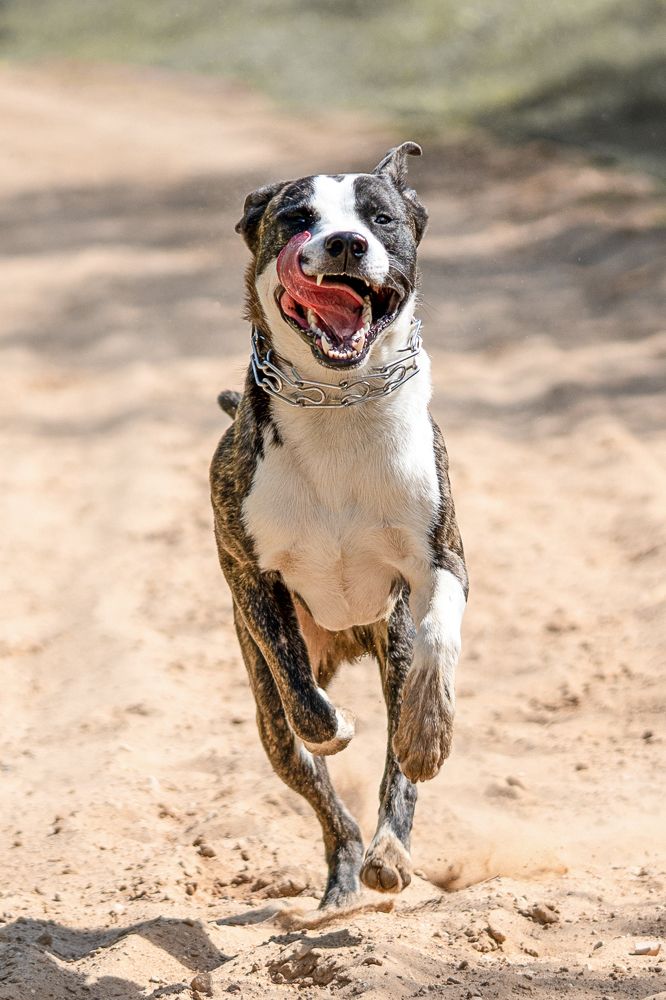 Фотография автора Юрий Коробейчук