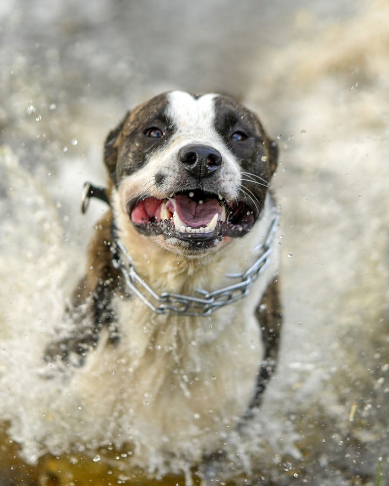 Фотография автора Юрий Коробейчук